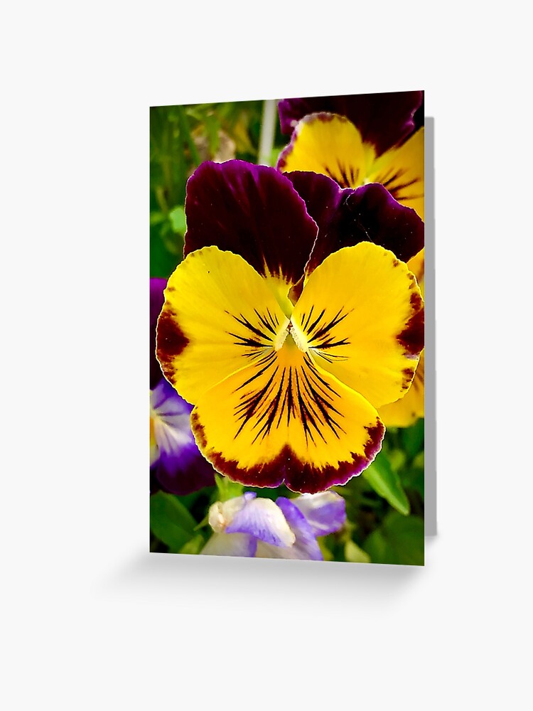 Tarjetas de felicitación «Pensamiento amarillo y morado» de GDGCreations |  Redbubble