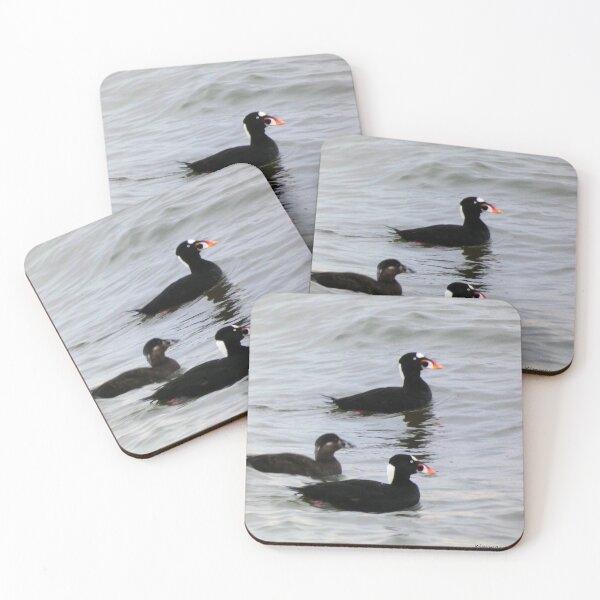 Item preview, Surf Scoters designed and sold by Kimmary.