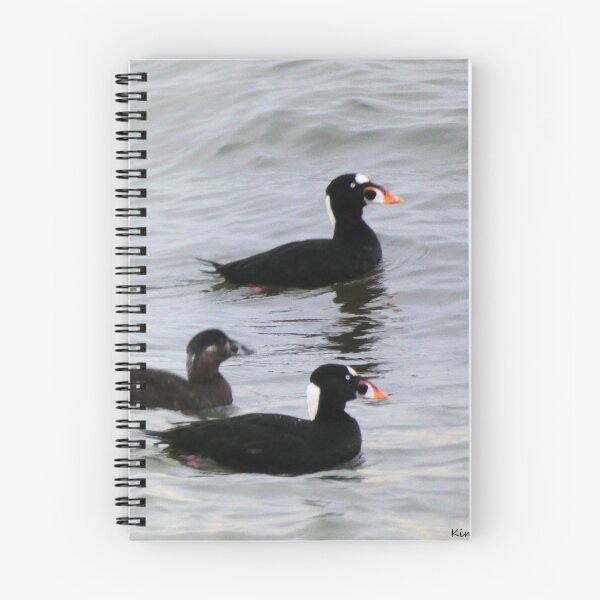Item preview, Surf Scoters designed and sold by Kimmary.