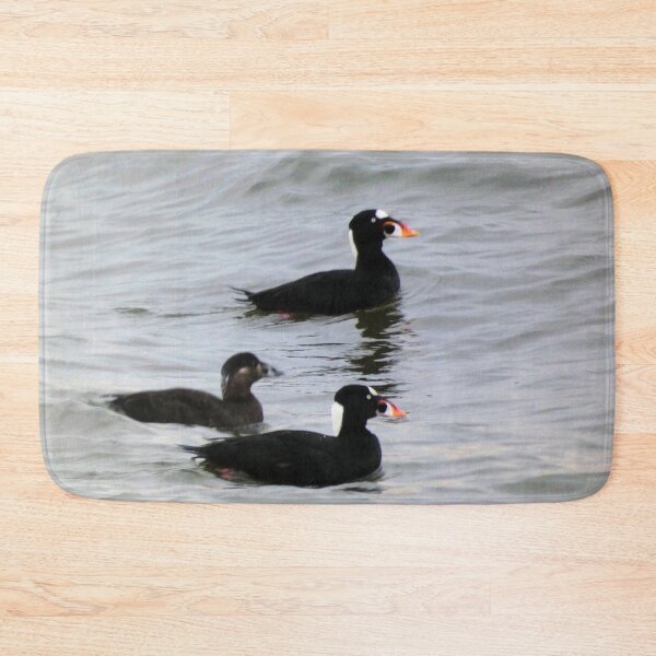 Item preview, Surf Scoters designed and sold by Kimmary.