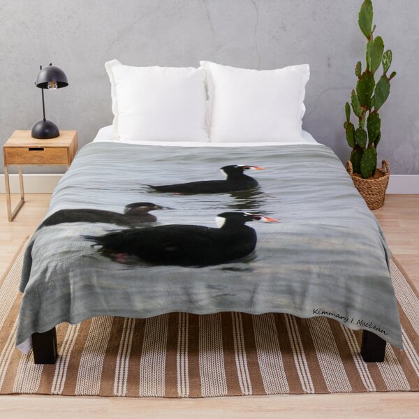 Item preview, Surf Scoters designed and sold by Kimmary.
