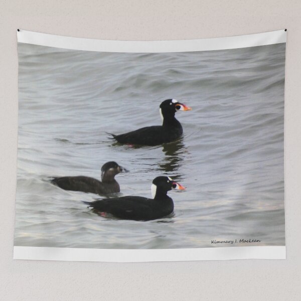 Item preview, Surf Scoters designed and sold by Kimmary.