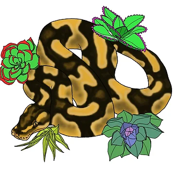 Artwork thumbnail, Normal Ball Python by TinkerandBone