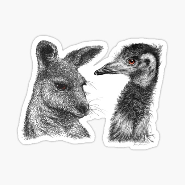 Australian Kangaroo and Emu Drawing Design - Australiana Sticker