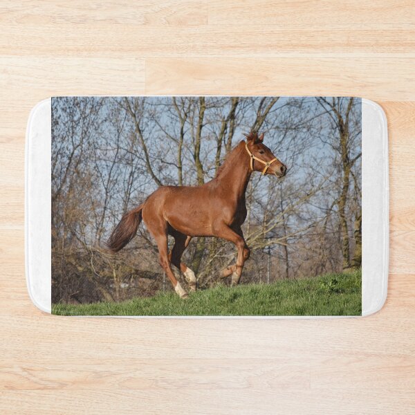 Item preview, Ridley designed and sold by theartsyeq.