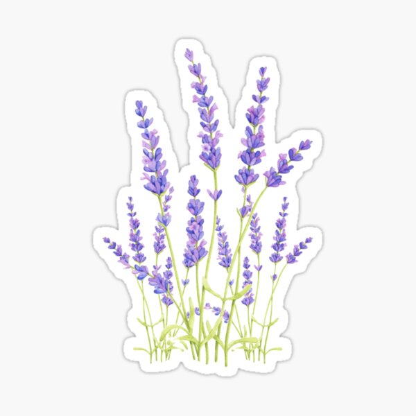 Item preview, lavendar flower designed and sold by AshleyAnnThomas.