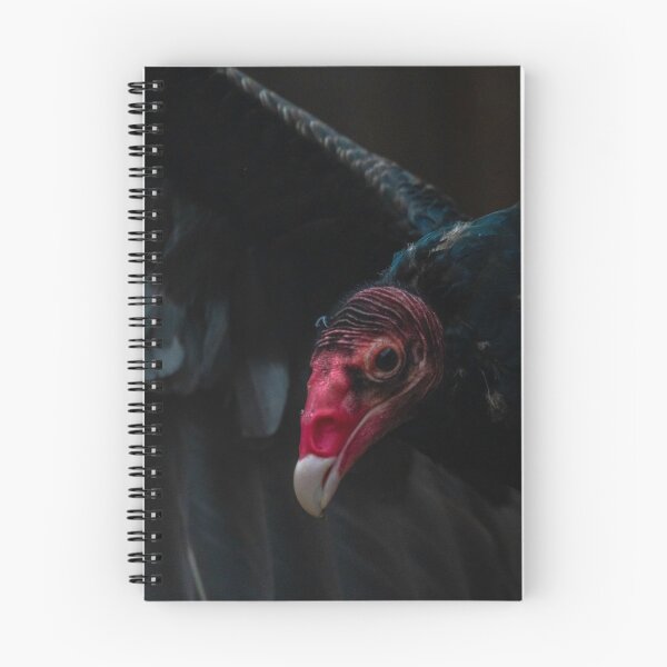Item preview, Vulture  designed and sold by KennyBImages899.