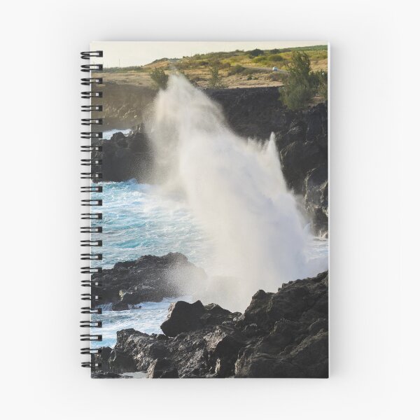 Item preview, Maritime geyser at Saint Leu designed and sold by Gaël FONTAINE.