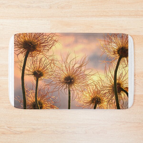 Item preview, Pasqueflower Progression designed and sold by mahnkephotos.