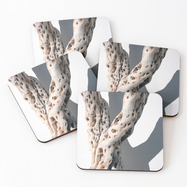 Item preview, Cholla Bone  designed and sold by Elena Ray.