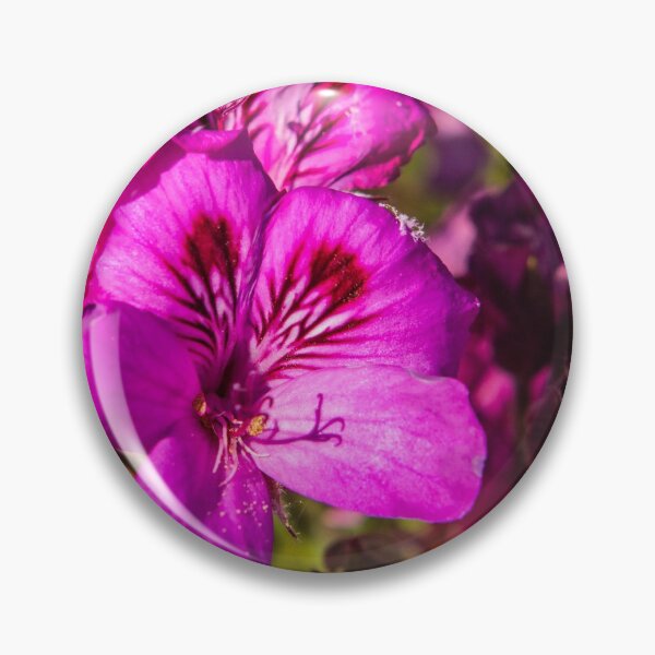 Item preview, "Backyard Flowers" Image by Rich AMeN Gill designed and sold by RichAMeNGill.