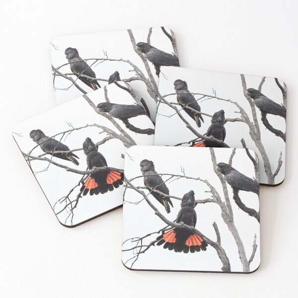 Item preview, Red-Tailed Black Cockatoos designed and sold by Ladyshark.