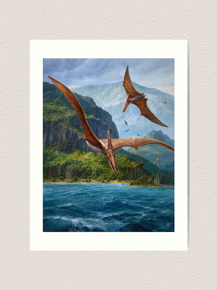 Pteranodon - Signed Fine Art Print