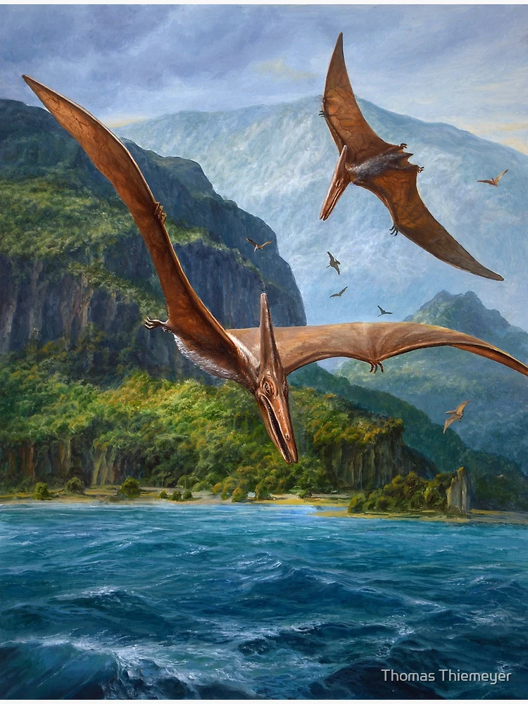 Pteranodon - Signed Fine Art Print