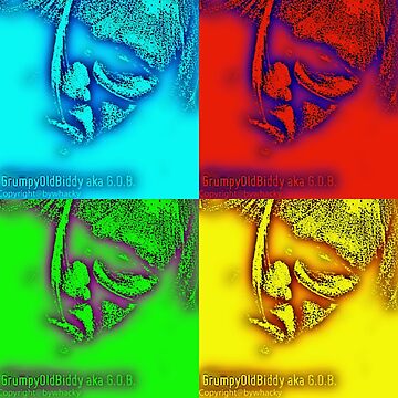Artwork thumbnail, Scontroso Grumpy old biddy @gobiddy by designbywhacky