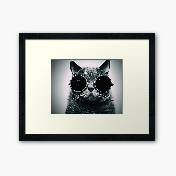  Cool Kitty Cat from Fonebook Framed Art Print