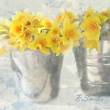 Artwork thumbnail, Cheerfulness by Patsy L Smiles