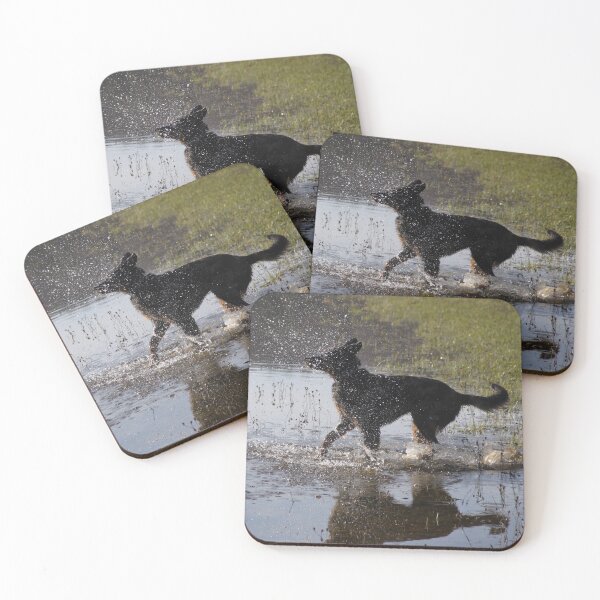 Item preview, Beauceron dog having fun in puddles in the meadow	 designed and sold by EstelleRossetti.