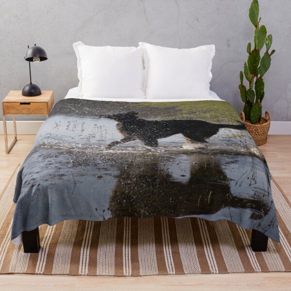 Item preview, Beauceron dog having fun in puddles in the meadow	 designed and sold by EstelleRossetti.