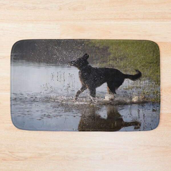 Item preview, Beauceron dog having fun in puddles in the meadow	 designed and sold by EstelleRossetti.