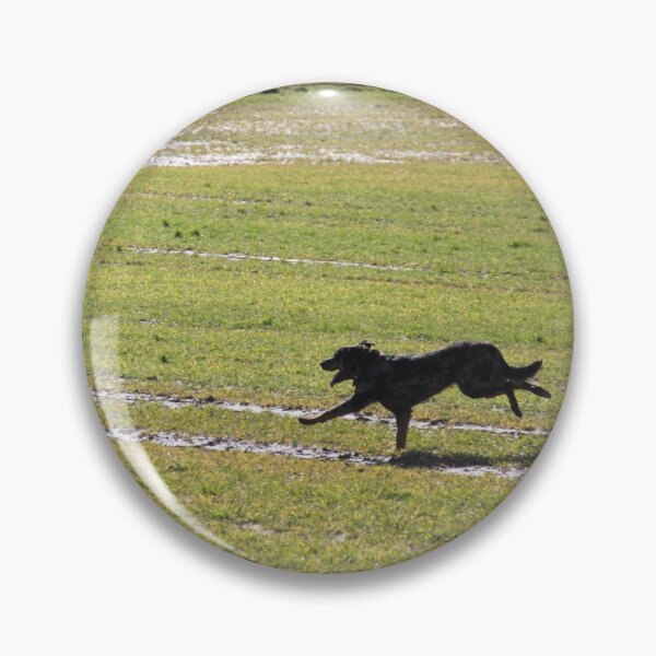 Item preview, Beauceron dog having fun in puddles in the meadow	 designed and sold by EstelleRossetti.