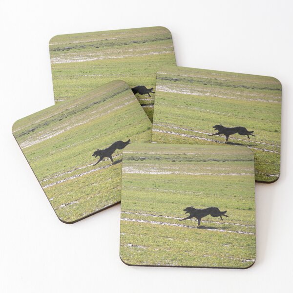 Item preview, Beauceron dog having fun in puddles in the meadow	 designed and sold by EstelleRossetti.