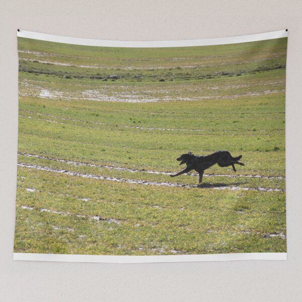 Item preview, Beauceron dog having fun in puddles in the meadow	 designed and sold by EstelleRossetti.