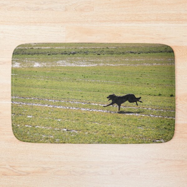 Item preview, Beauceron dog having fun in puddles in the meadow	 designed and sold by EstelleRossetti.