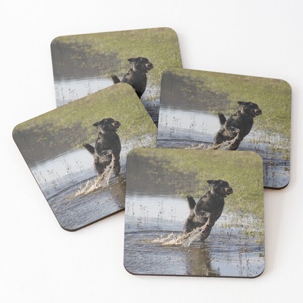 Item preview, Beauceron dog having fun in puddles in the meadow	 designed and sold by EstelleRossetti.