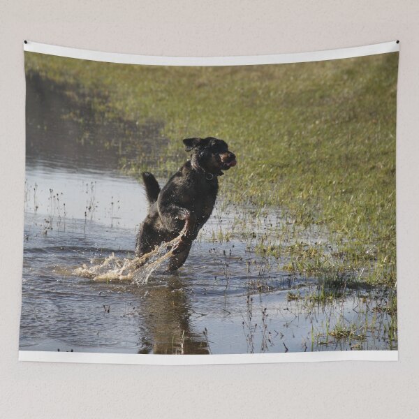 Item preview, Beauceron dog having fun in puddles in the meadow	 designed and sold by EstelleRossetti.