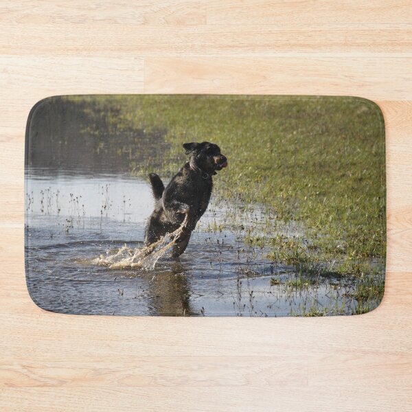 Item preview, Beauceron dog having fun in puddles in the meadow	 designed and sold by EstelleRossetti.
