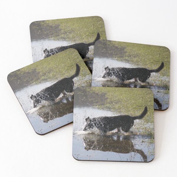 Item preview, Beauceron dog having fun in puddles in the meadow	 designed and sold by EstelleRossetti.