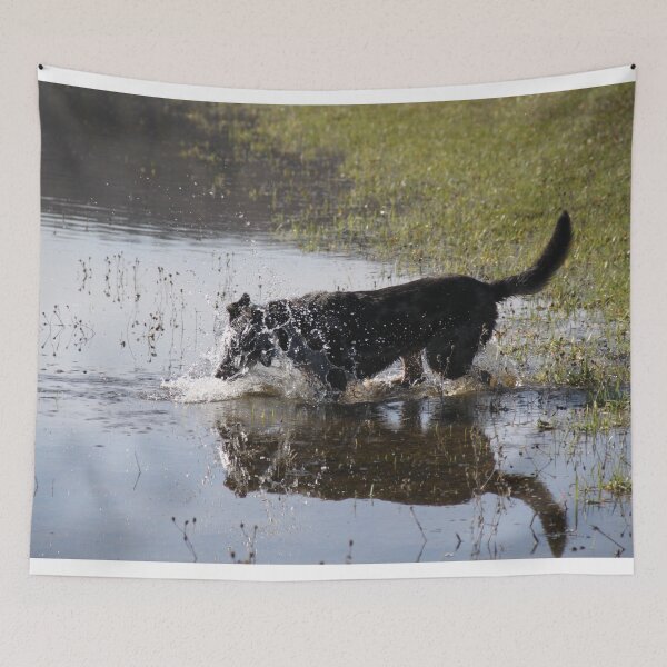 Item preview, Beauceron dog having fun in puddles in the meadow	 designed and sold by EstelleRossetti.