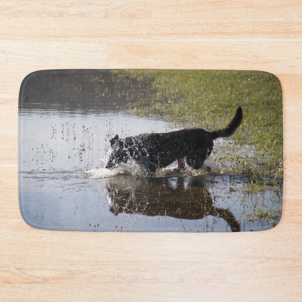 Item preview, Beauceron dog having fun in puddles in the meadow	 designed and sold by EstelleRossetti.