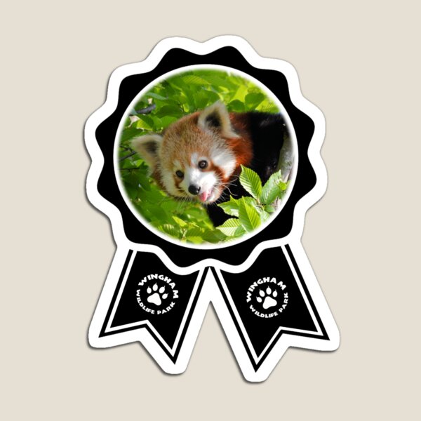 Kawaii Roter Panda Auto Magnet - .de