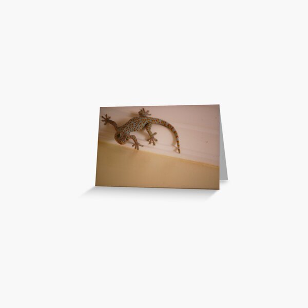 Fabulous Gecko Greeting Card