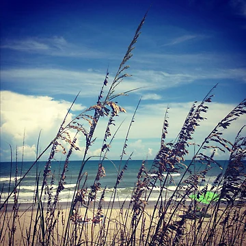 Artwork thumbnail, Through The Reeds by Dev7in