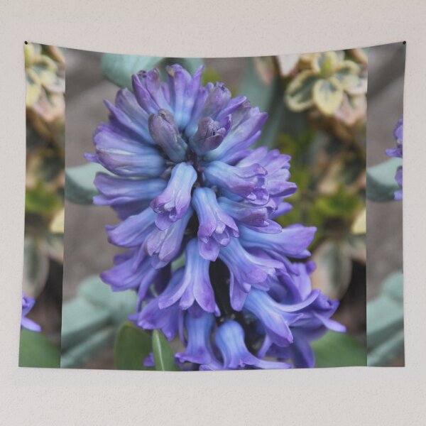 Item preview, Violet hyacinth spring grape flower	 designed and sold by EstelleRossetti.