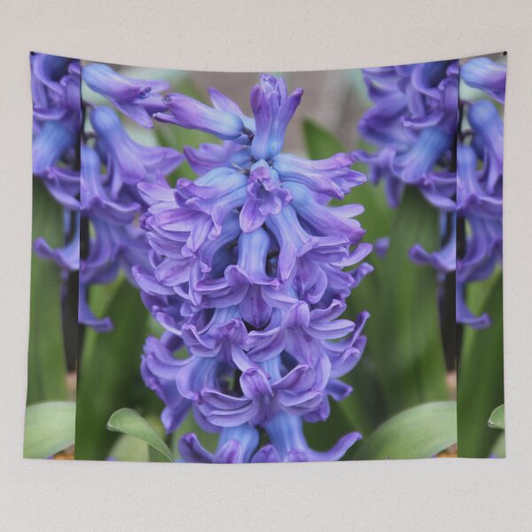 Item preview, Violet hyacinth spring grape flower	 designed and sold by EstelleRossetti.