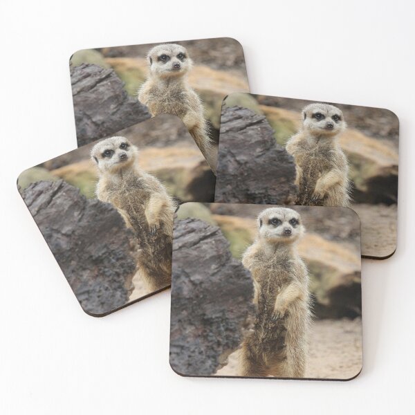 Item preview, Meerkat designed and sold by tdierikx.