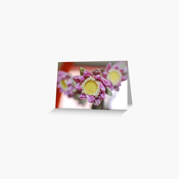 Fantastic Folded Lotus Greeting Card