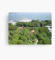 filled with greens kamakura Canvas Print