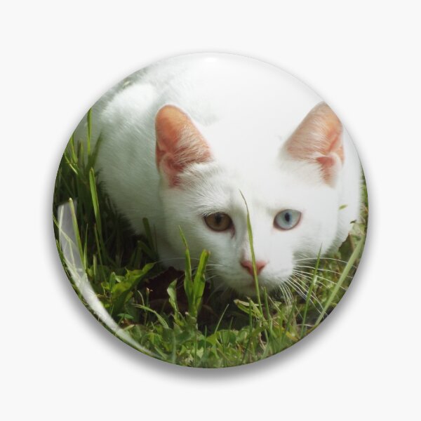 Artikelvorschau, BEREIT ZU POUNCE! entworfen und verkauft von noodleboo.
