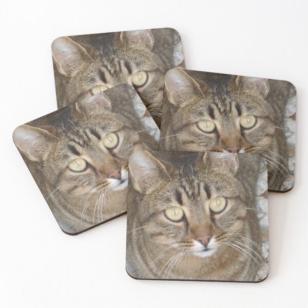 Item preview, Cute Tabby Cat Portrait designed and sold by taiche.