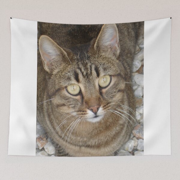 Item preview, Cute Tabby Cat Portrait designed and sold by taiche.