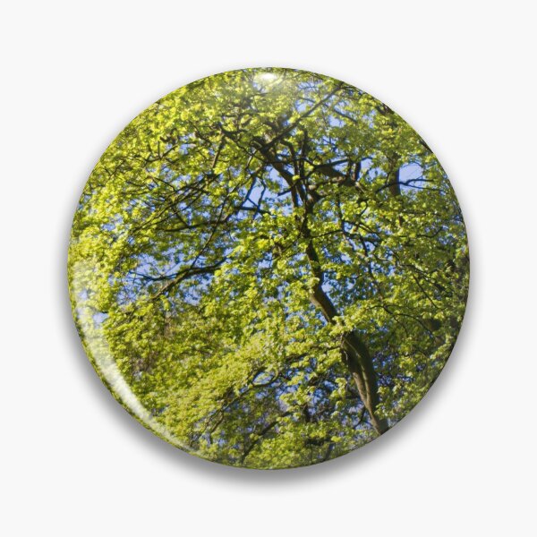 Item preview, Spring green Beech tree leaves designed and sold by FOLK ART FUSION by heidiannemorris.