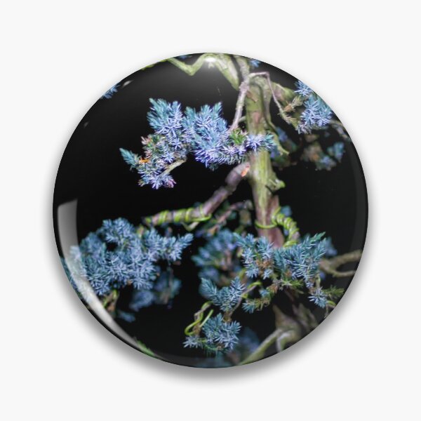 Item preview, Bonsai Juniperus Meyeri At Night designed and sold by FOLK ART FUSION.