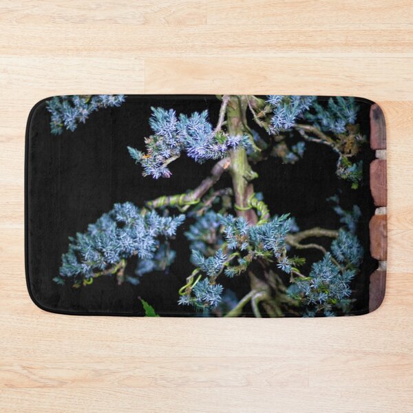 Item preview, Bonsai Juniperus Meyeri At Night designed and sold by FOLK ART FUSION by heidiannemorris.