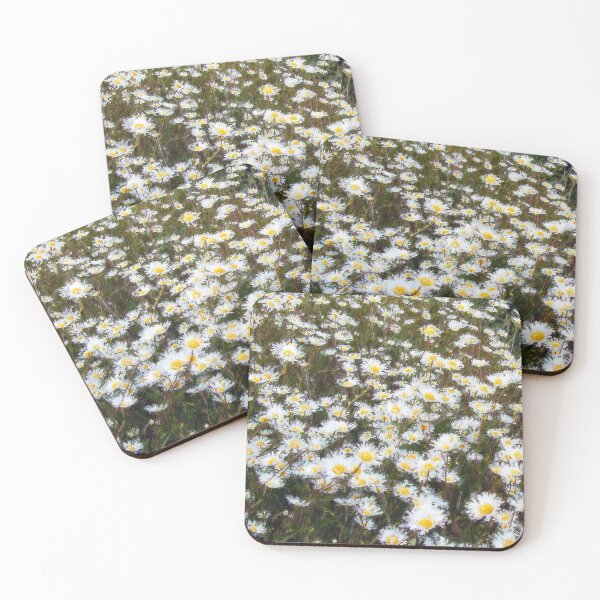 Item preview, Ox-eye daisies II designed and sold by WesternExposure.