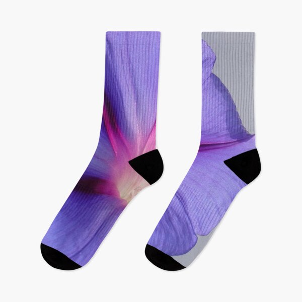 Item preview, Close Up of A Morning Glory Purple and Pink Flower designed and sold by taiche.